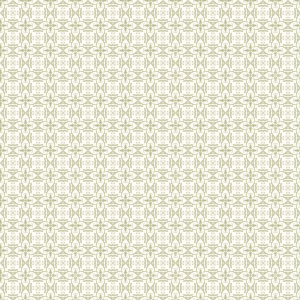 Click here to get myspace pattern background code