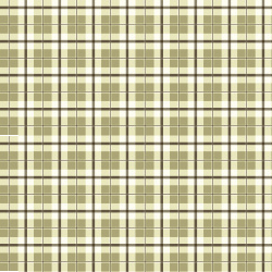 Click here to get myspace plaid background code