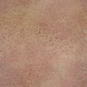 Click here to get myspace leather background code