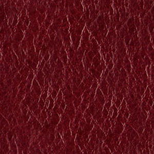 Click here to get myspace leather background code