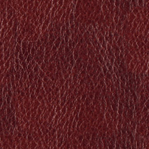 Click here to get myspace leather background code