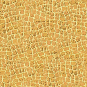 Click here to get myspace leather background code