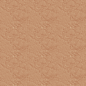 Click here to get myspace leather background code