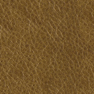 Click here to get myspace leather background code