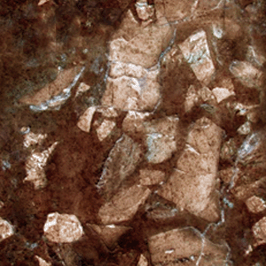 Click here to get myspace marble background code